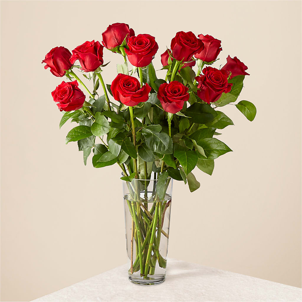 Long Stem Red Rose Bouquet – East City Flower Shop, Peterborough ON
