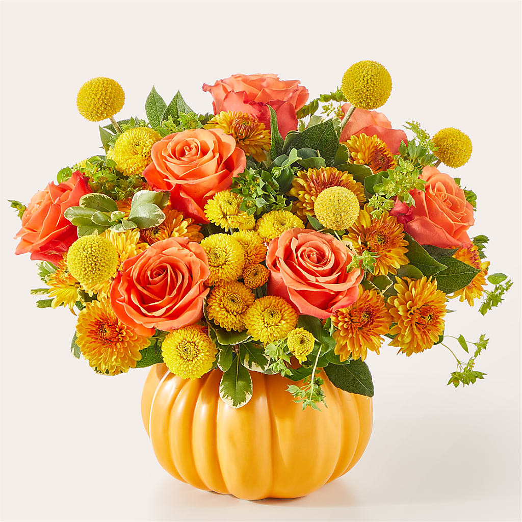 Gourdgeous Pumpkin – East City Flower Shop, Peterborough ON