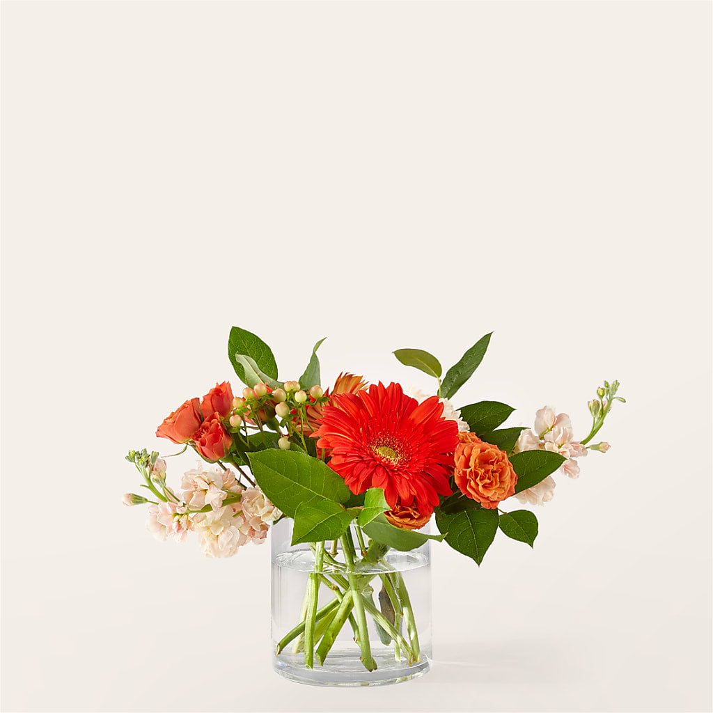 Paloma Please Bouquet – East City Flower Shop, Peterborough ON