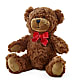 Adorable Plush Bear –  East City Flower Shop, Peterborough ON