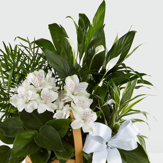 Peace & Serenity Dishgarden –  East City Flower Shop, Peterborough ON