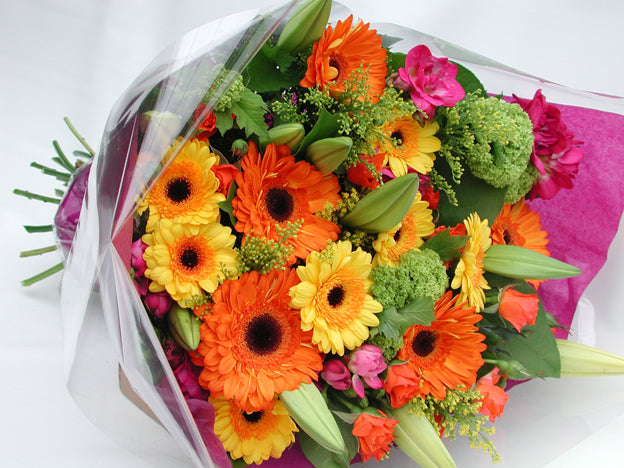 Cut Flowers (no vase)