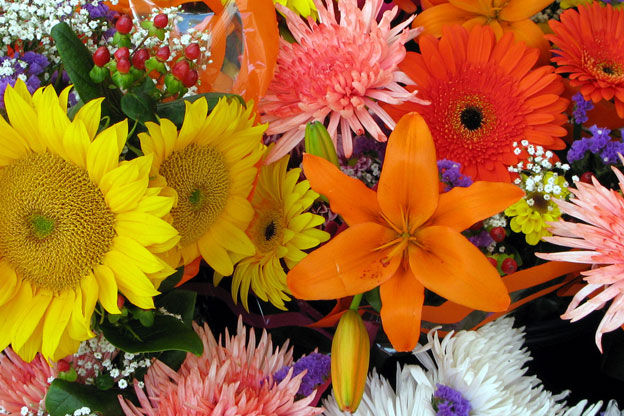 Cut Flowers (no vase)