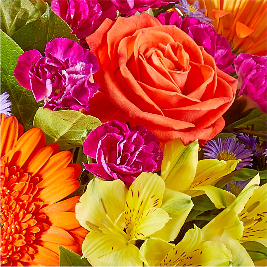 Tricks & Treats Pumpkin –  East City Flower Shop, Peterborough ON
