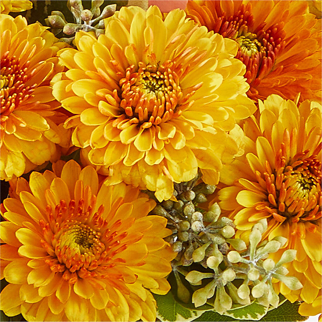 Peachy Pumpkin –  East City Flower Shop, Peterborough ON