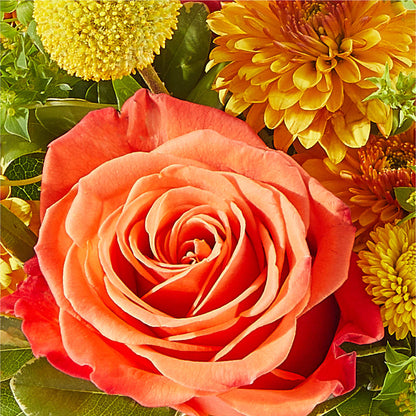 Gourdgeous Pumpkin –  East City Flower Shop, Peterborough ON