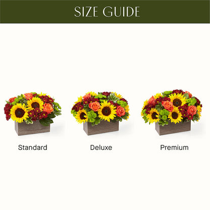 Happy Harvest Garden –  East City Flower Shop, Peterborough ON