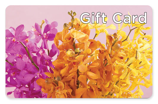 Gift Card –  East City Flower Shop, Peterborough ON