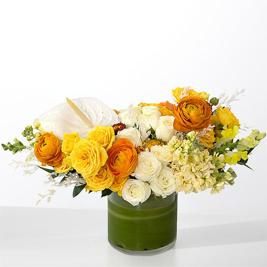 The Optimist –  East City Flower Shop, Peterborough ON