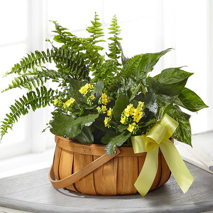 Always Dear Dishgarden –  East City Flower Shop, Peterborough ON
