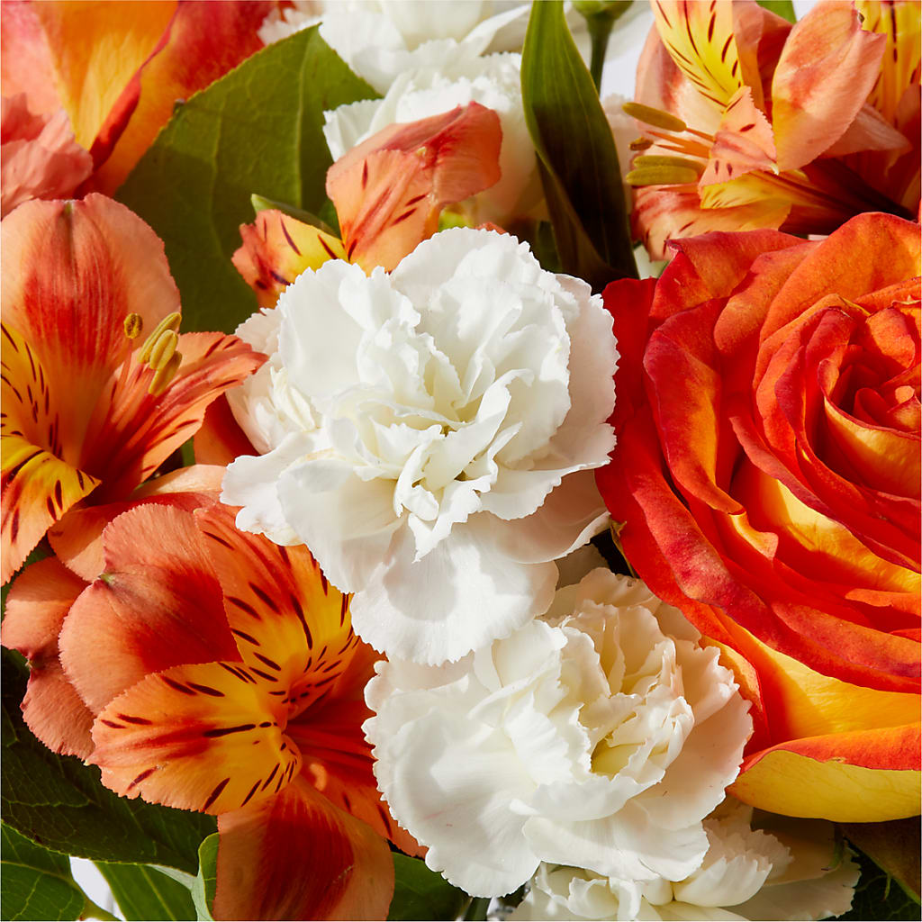 Apricot Glow Bouquet –  East City Flower Shop, Peterborough ON