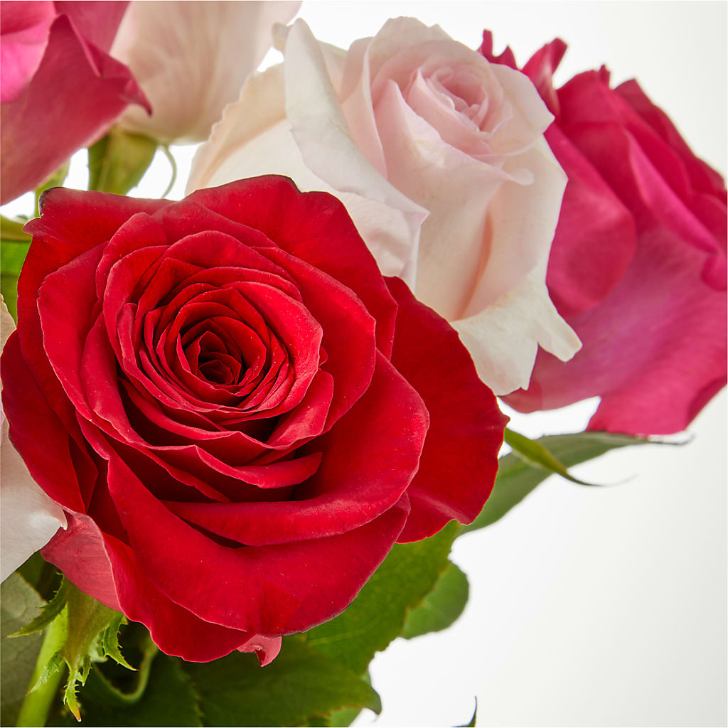Charming Rose Bouquet –  East City Flower Shop, Peterborough ON