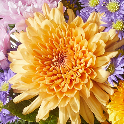 Countryside Bouquet –  East City Flower Shop, Peterborough ON