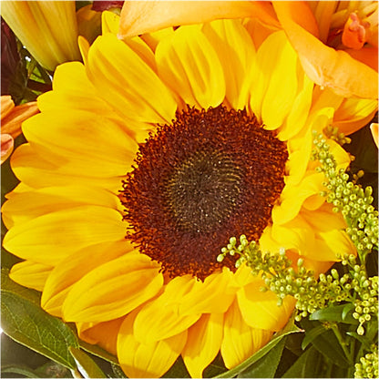 Seasons Change Bouquet –  East City Flower Shop, Peterborough ON