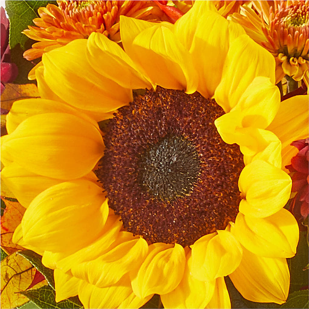 Sunny Side Bouquet –  East City Flower Shop, Peterborough ON