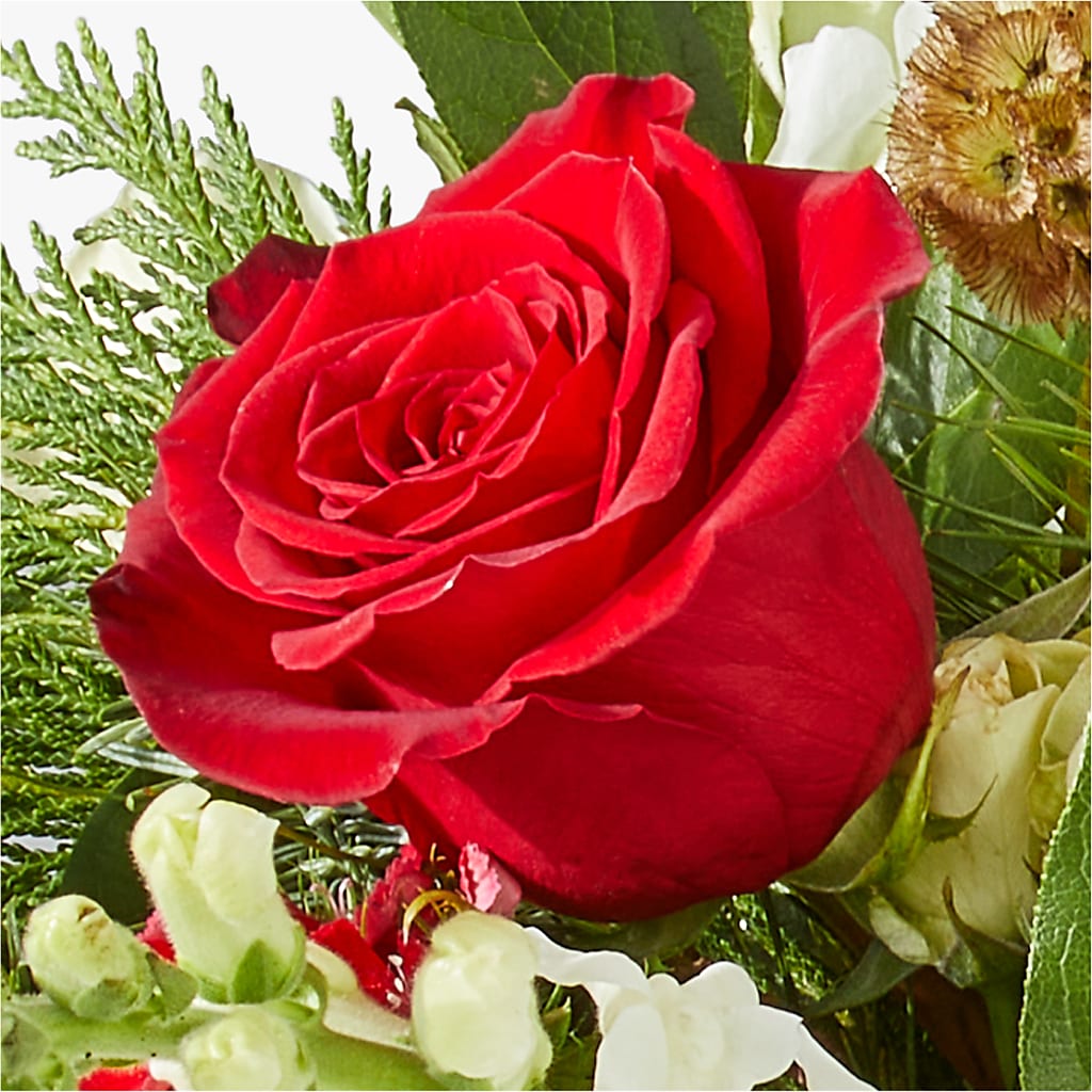 Deck the Halls Bouquet –  East City Flower Shop, Peterborough ON