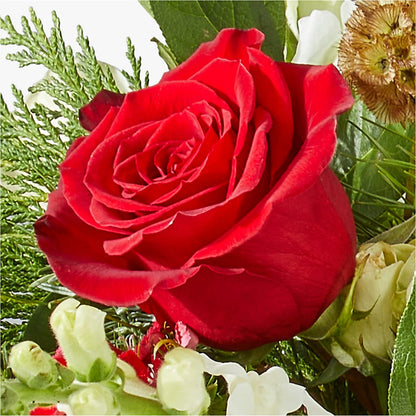 Deck the Halls Bouquet –  East City Flower Shop, Peterborough ON