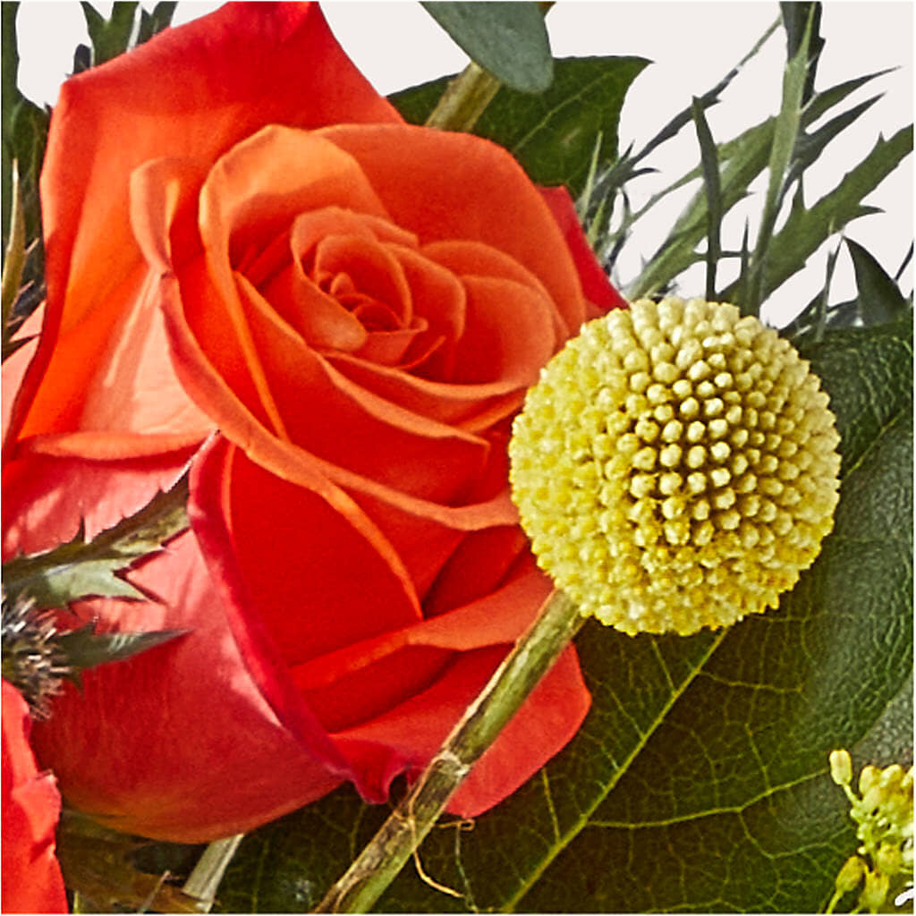 Disco Bouquet –  East City Flower Shop, Peterborough ON