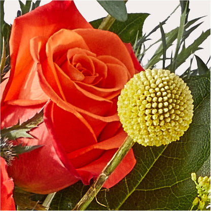 Disco Bouquet –  East City Flower Shop, Peterborough ON
