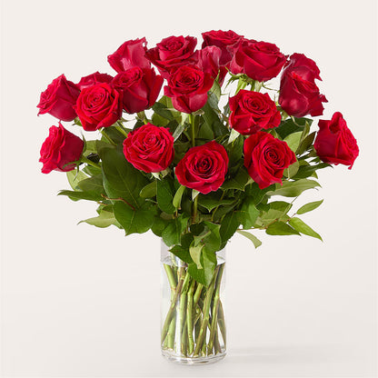 The One Red Rose Bouquet –  East City Flower Shop, Peterborough ON