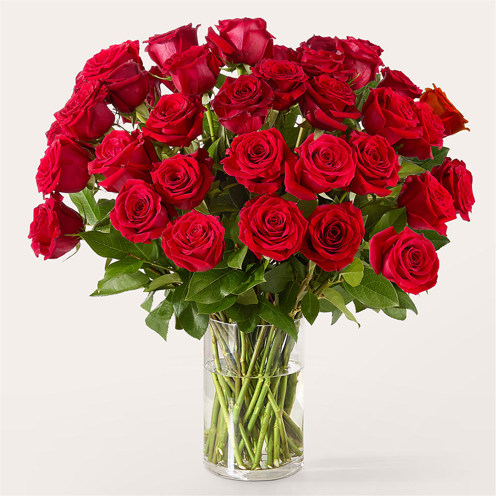 The One Red Rose Bouquet –  East City Flower Shop, Peterborough ON