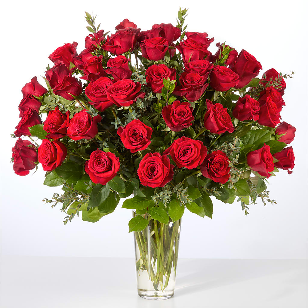Forever Yours Fifty Stem Red Rose Bouquet –  East City Flower Shop, Peterborough ON