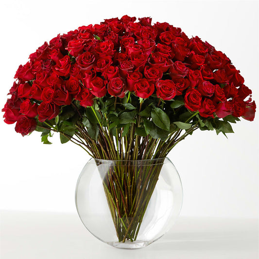 The Idealist –  East City Flower Shop, Peterborough ON